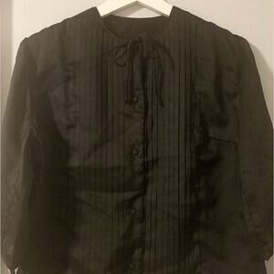 SILK Pleated Front Black-Sheer Sleeves Shirt